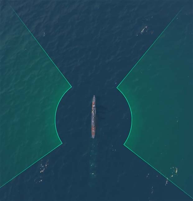 Сектор действия торпедных аппаратов в World of warships Сектор действия торпедных аппаратов в World of warships